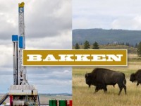 North Dakota Oil Production – Same Players, Different Pecking Order