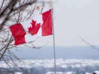 OECD Downgrades Canadian Forecast as Oil Prices Continue to Fall