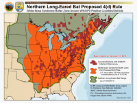 If species gains the U.S. Fish and Wildlife's recommended "endangered" designation in April, shale, wind energy developers could be affected.