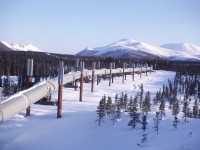 Trans-Alaska oil pipeline