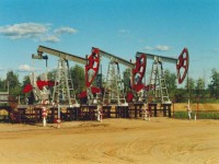 More than 100 Oil and Gas Operators have Filed for Bankruptcy as of August