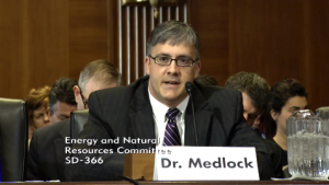 export ban - Dr. Medlock - executive power Dr. Medlock