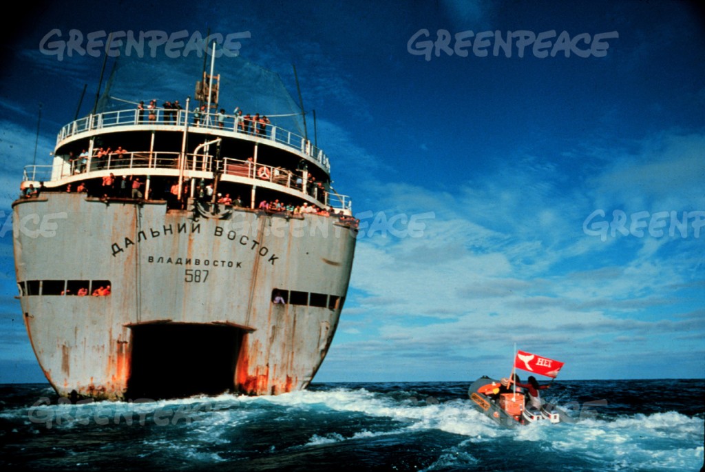 Greenpeace activists protest at the stern of whaling factory ship. (Greenpeace Witness book page 48-49)  (Greenpeace Changing the World page 11 similar photo)