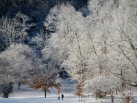 Largest Natural Gas Draw of the Season Can’t Outpace Builds