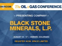 Black Stone Minerals: Creating Success by Gathering Up the Right Properties