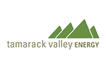 Tamarack Valley Energy Ltd. Announces 2019 Financial Results, Reserves Information and Appointment of Chief Financial Officer