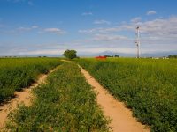 Congressman Seeks to Raise Ethanol Content at the Pump to 15%