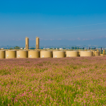 Extraction Oil & Gas Ups Stock Repurchase Program - Oil & Gas 360