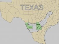 Sundance Energy Provides December 2018 Operational Update