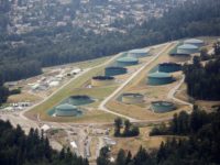 The Burnaby Terminal and Tank Farm, the terminus of the Trans Mountain Pipeline, is seen in an aerial photo over Burnaby, British Columbia, Canada June 29, 2019. Picture taken June 29, 2019. REUTERS/Jason Redmond