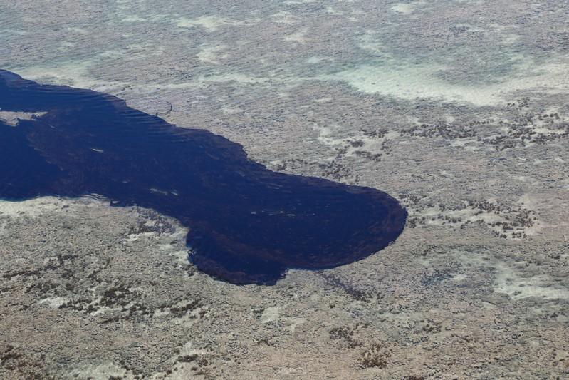 https://www.reuters.com/article/us-brazil-petrobras-oilspill/oil-spill-may-be-worst-environmental-attack-in-brazils-history-petrobras-ceo-idUSKBN1X81Q9-oag360