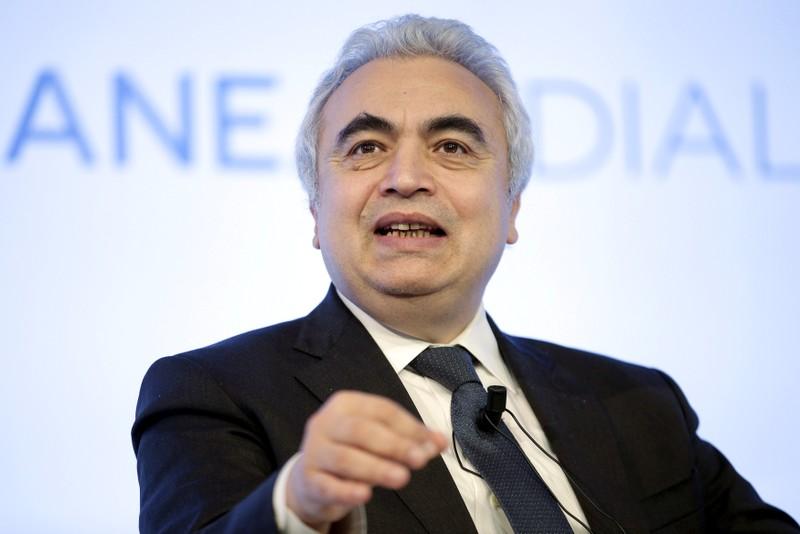 OPEC should make right call for fragile world economy: IEA's Birol- oil and gas 360