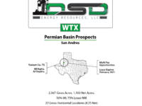 Permian Prospect For Sale