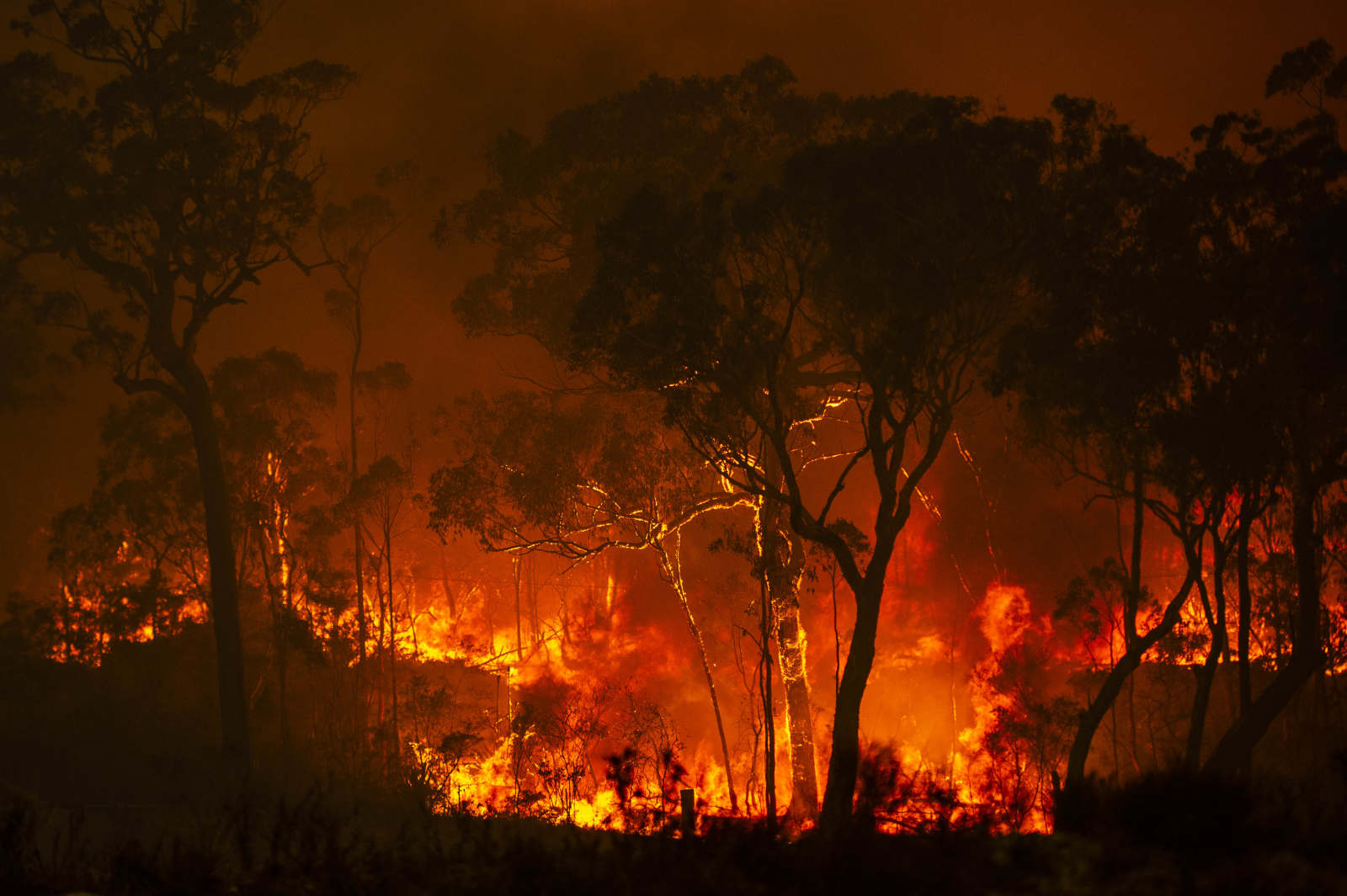 Deadly Australia bushfires sweeping country reaches national disaster -2 - oilandgas360