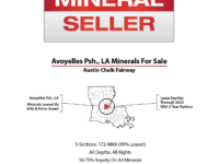 Louisiana Non-Producing Minerals For Sale