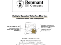 Permian Basin Chapter 11 Sale