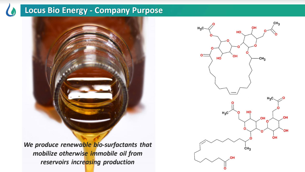 Locus Bio-Energy Solutions fig 2