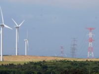 Ministry of Energy Announces Significant International Interest in 100 MW Wind Power Tender