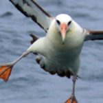 Second U.S. shale boom legacy- Overpriced deals, unwanted assets - many are financial albatrosses -oilandgas360