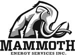 Mammoth Energy Services, Inc. Announces Third Quarter 2020 Operational and Financial Results