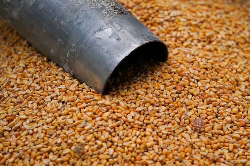 Trump administration argues against refiners' biofuel petition- oil and gas 360