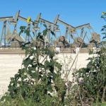 U.S. shale ponders the unexpected: what to do with coming cash windfall?- oil and gas 360