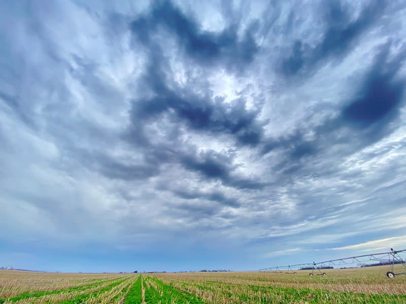 Farmers struggle to break into booming carbon-credit market- oil and gas 360