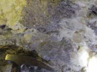 Brazil Minerals Advances Lithium Project