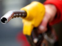 Oil prices steady on hopes for economic recovery