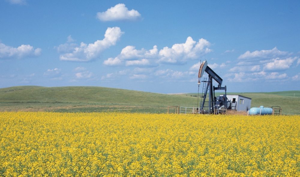 Oil dips but hovers near three-year highs on recovery signs- oil and gas 360