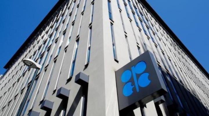 OPEC+ expected to stick with planned Feb output increase, sources say- oil and gas 360