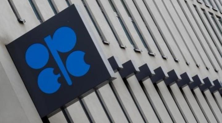 OPEC flags risk to oil demand outlook from Ukraine war, inflation- oil and gas 360