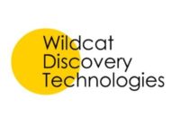 Wildcat Discovery raises $90 mln for high energy density EV batteries