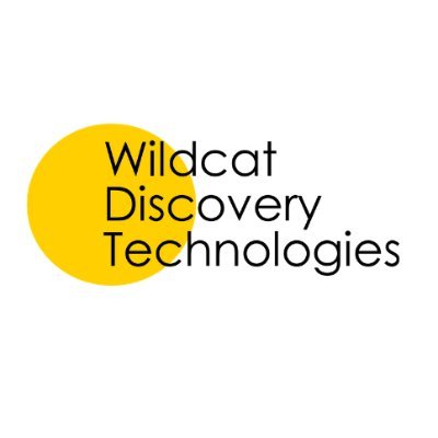 Wildcat Discovery raises $90 mln for high energy density EV batteries- oil and gas 360