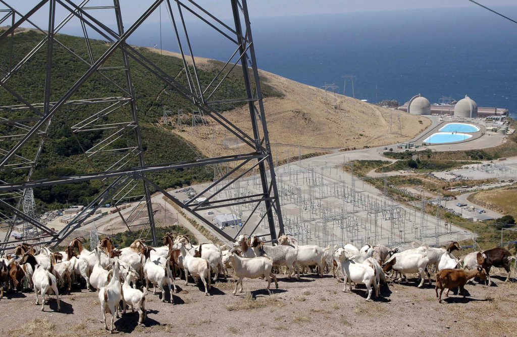 U.S. grants $1.1 bln to keep Diablo Canyon nuclear plant open- oil and gas 360