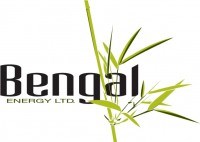 Bengal Announces Director Appointment