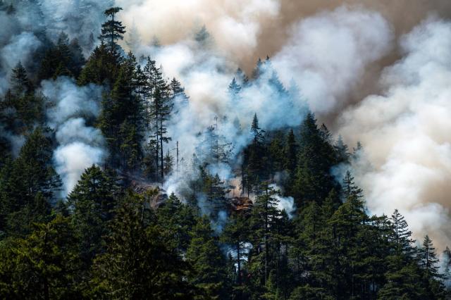 Wildfire near Canadian oil sands in Alberta prompt evacuation alert ...