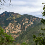 California orders Sable offshore to remove Santa Ynez pipeline crossing state park- oil and gas 360