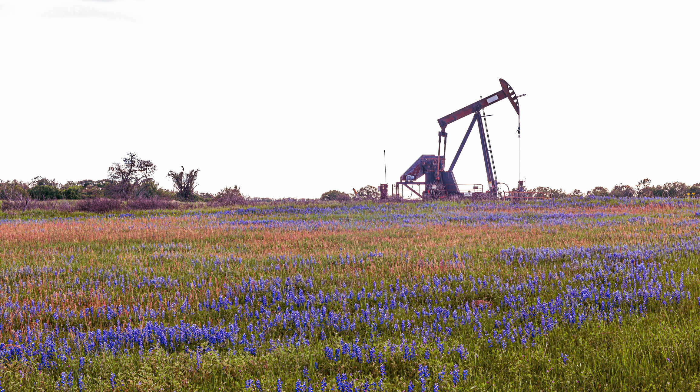 Magnolia’s $4.06 billion WildFire deal creates major South Texas position- oil and gas 360