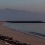 How the UAE Has Kept Its Oil Flowing Through Hormuz- oil and gas 360